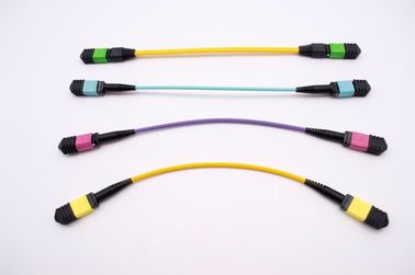 Chine Corde de correction optique de fibre de MPO/MTP/câble/pullover fournisseur